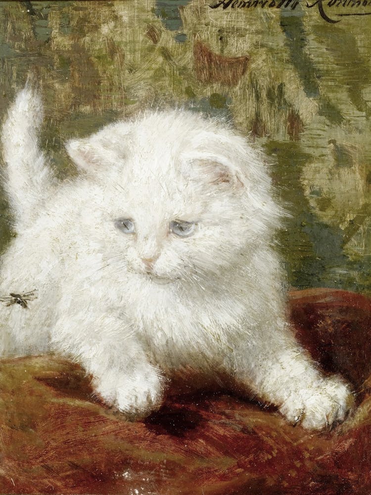 White Kitten By John Johnson