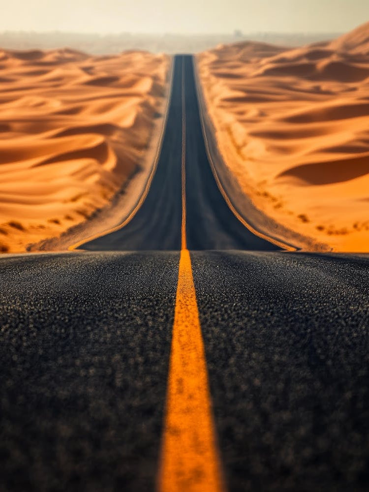 Road In The Desert 3