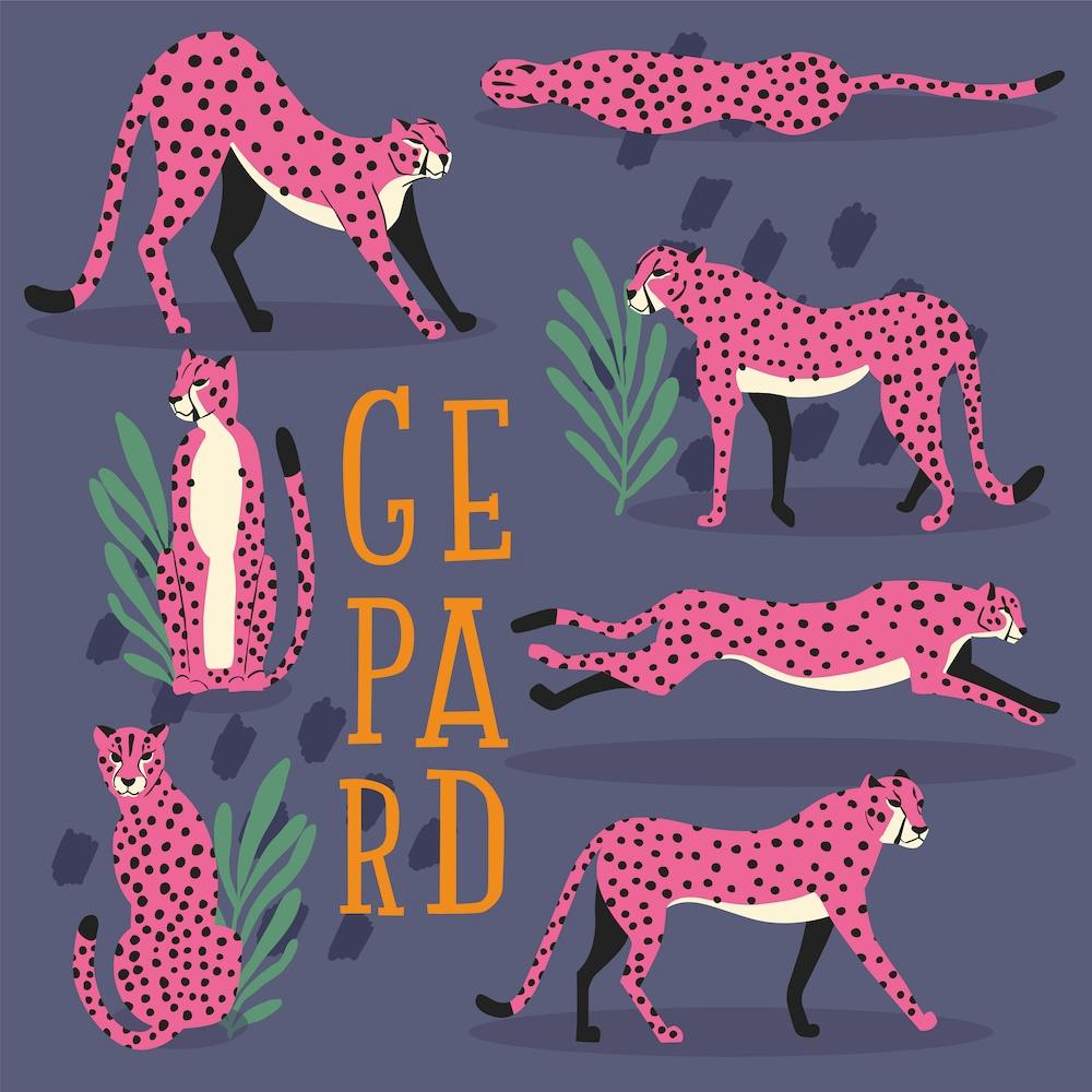 Pink Cheetahs With Florals Square