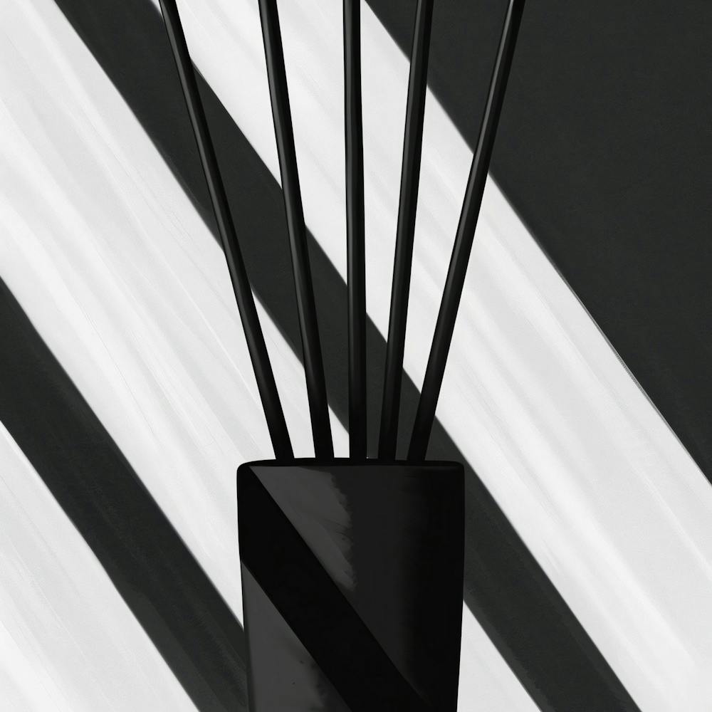 Black And White Vase