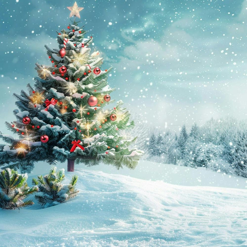 Christmas Banner Texture With A Snowy Landscape 1