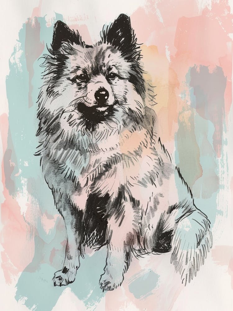 Pastel Keeshond Dog Pastel Line Illustration 1