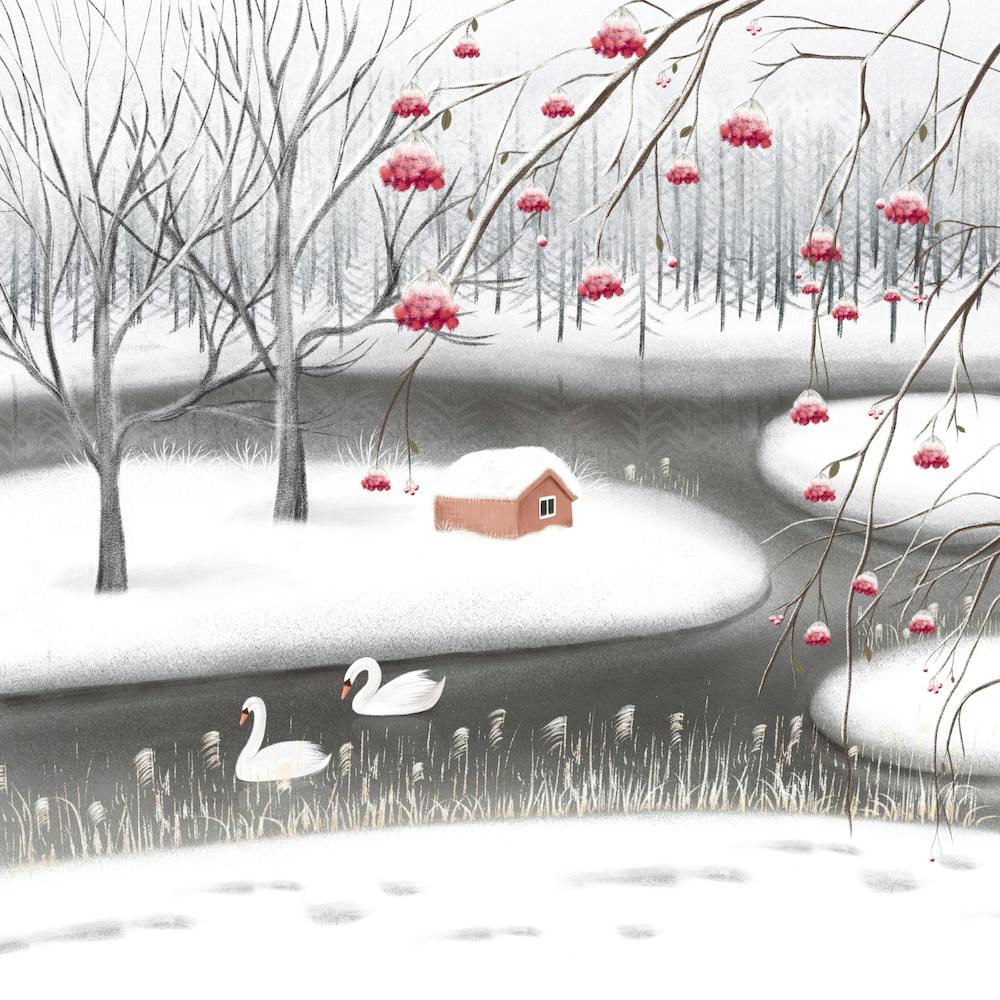 Swans In The Snow Square