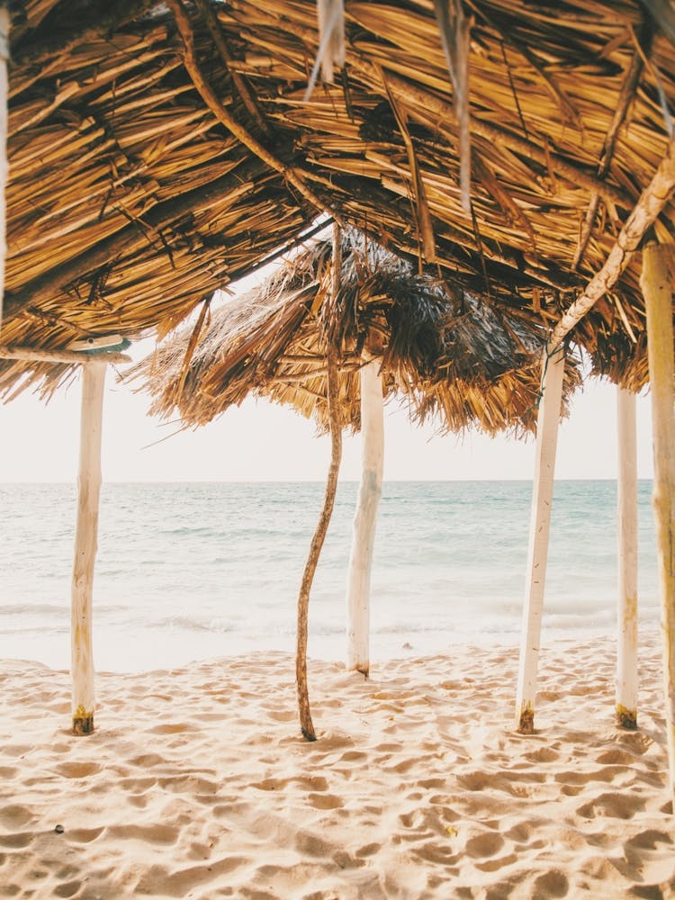 Vue de plage chaleureuse