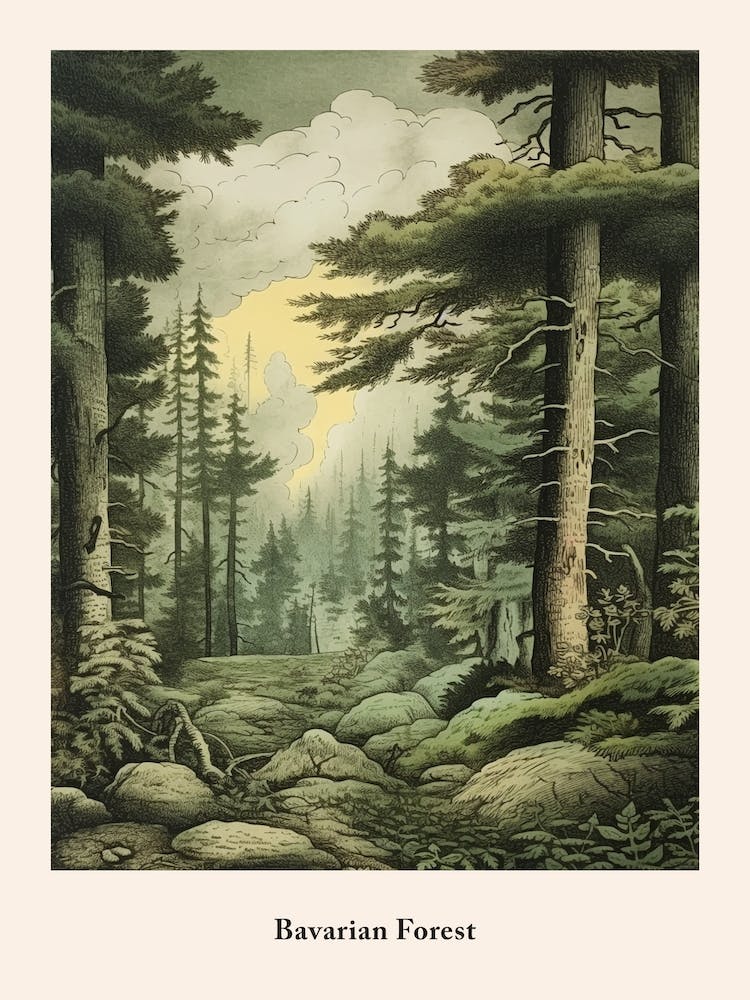 Bavarian Forest