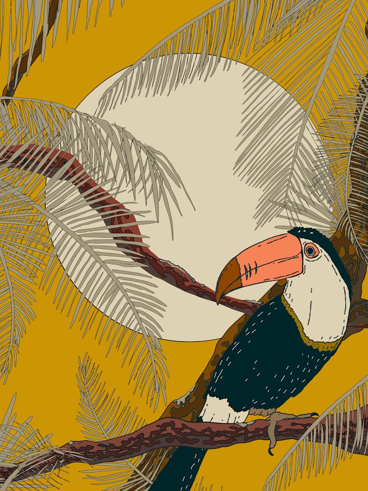 Toucan In the Rainforest