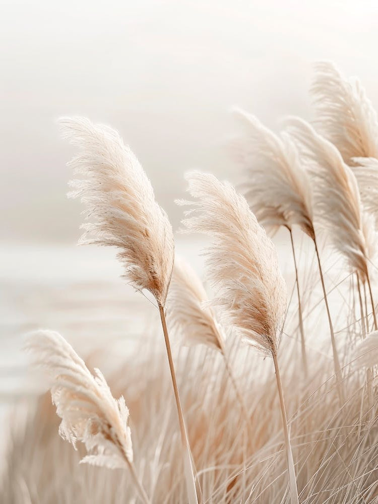 Idyllic Pampas Grass