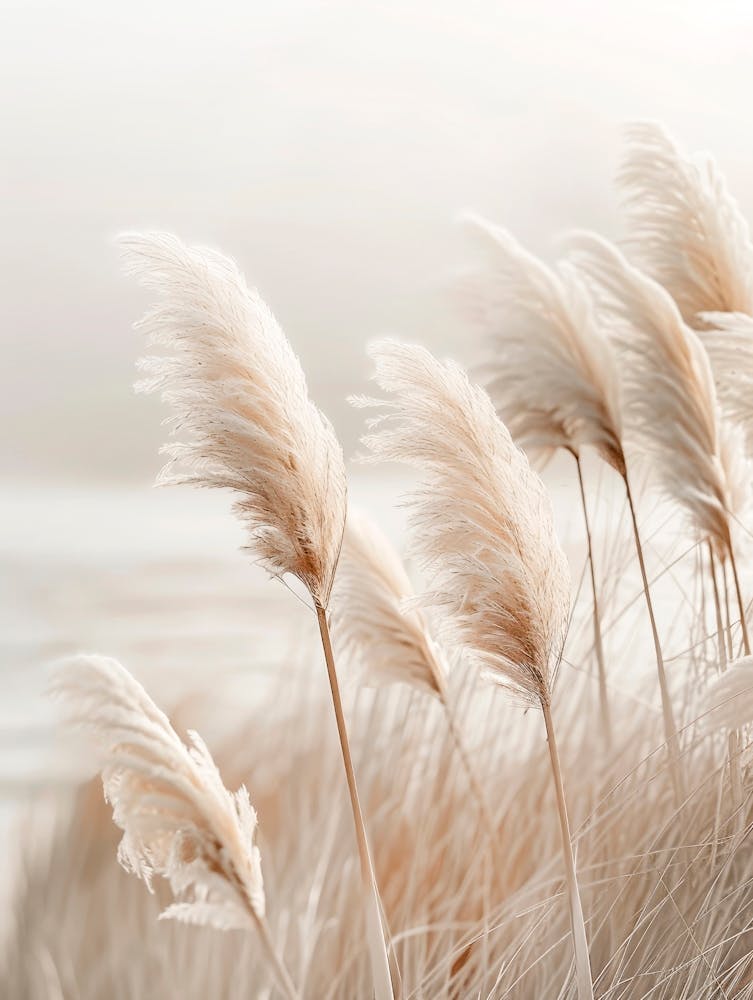 Idyllic Pampas Grass