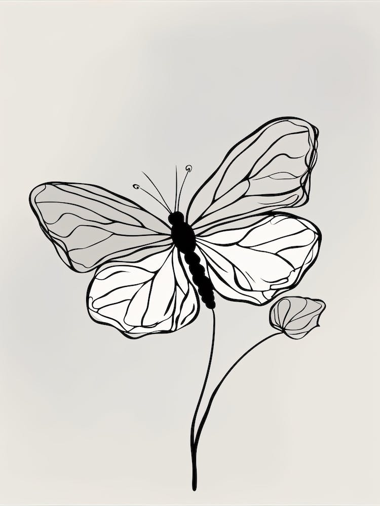Butterfly Line Art Abstract 8
