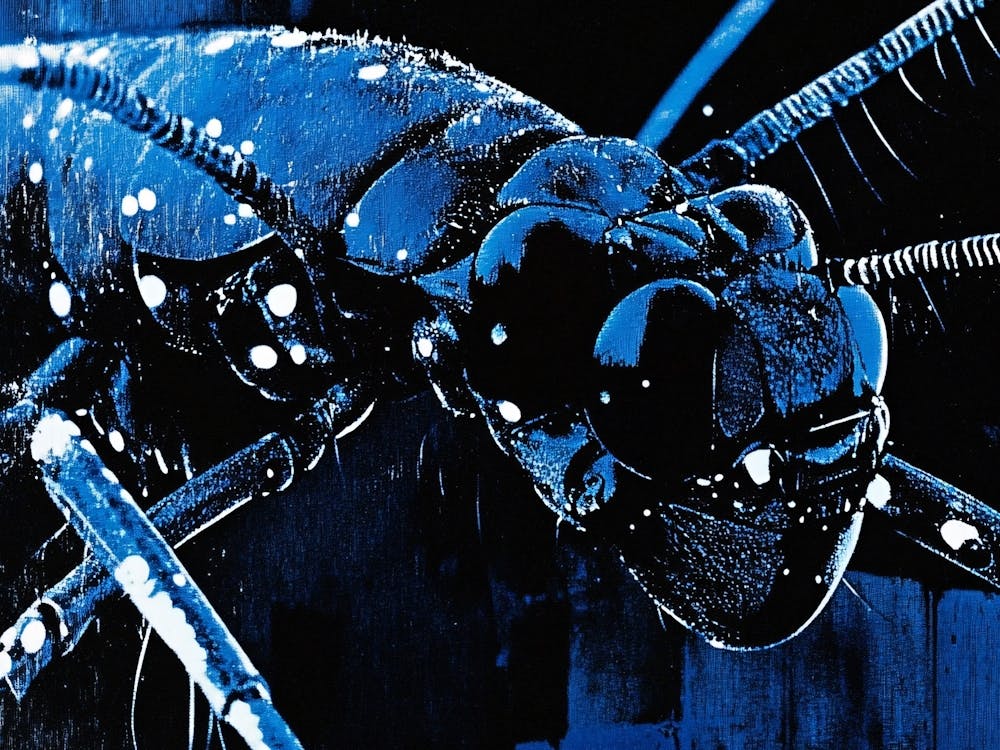Blue Ant