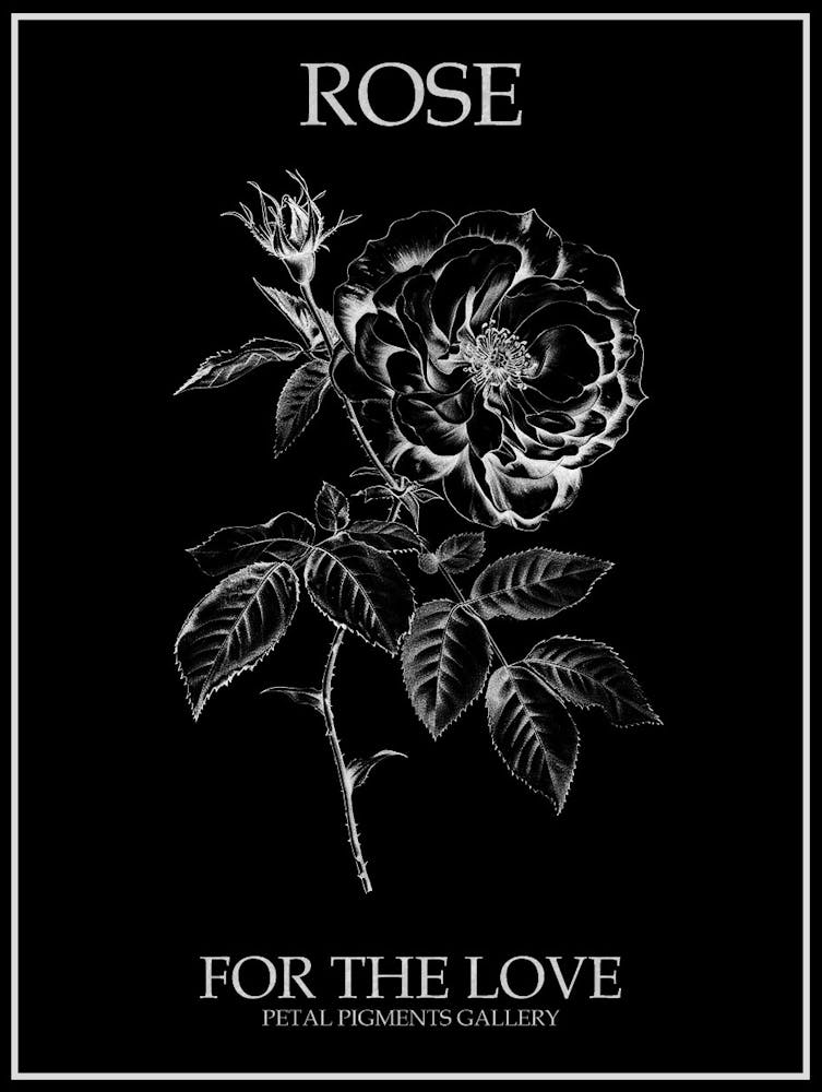 Black And White Rose Line Drawing 4 Poster Inverted
