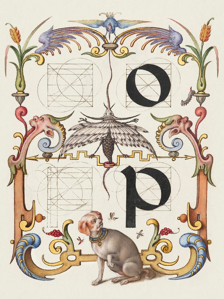 Guide For Constructing The Letters O And P From Mira Calligraphiae Monumenta, Joris Hoefnagel