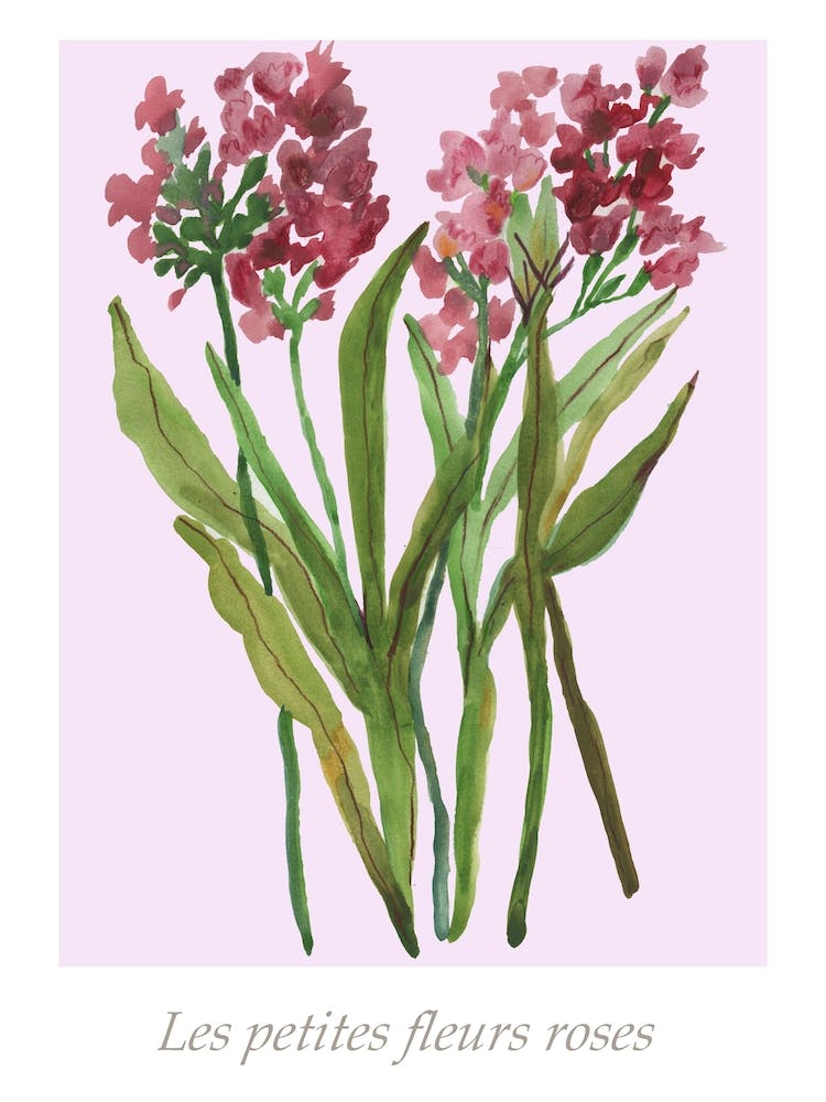 Les Petites Fleurs Roses