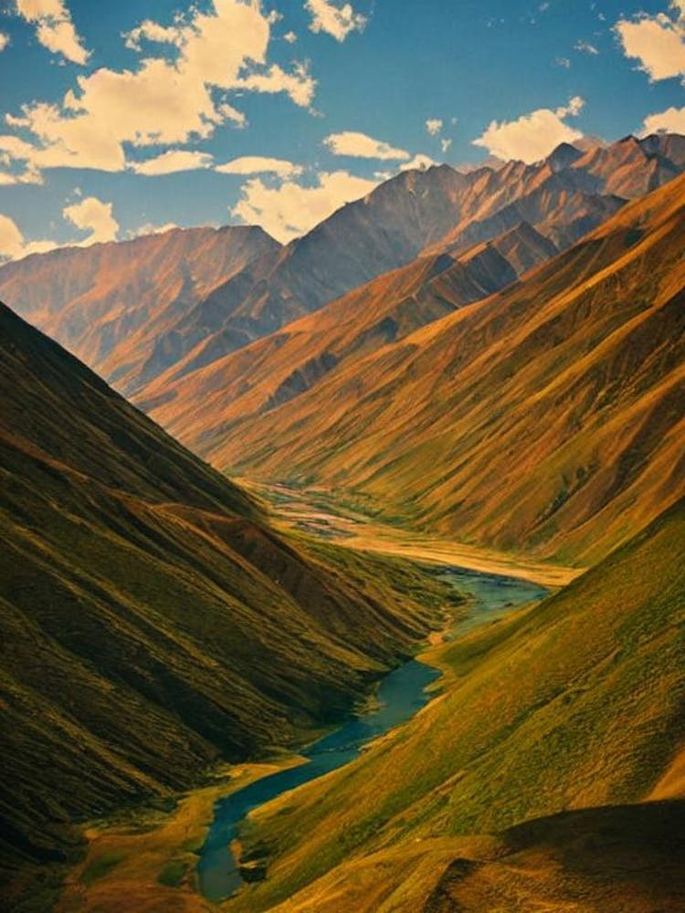 Hemis National Park India Vintage Poster