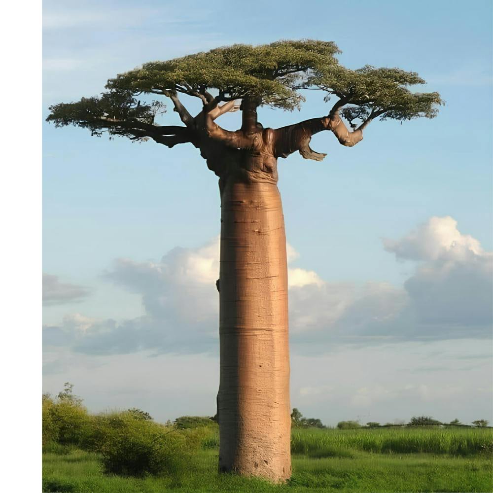 20240103 124904 ????