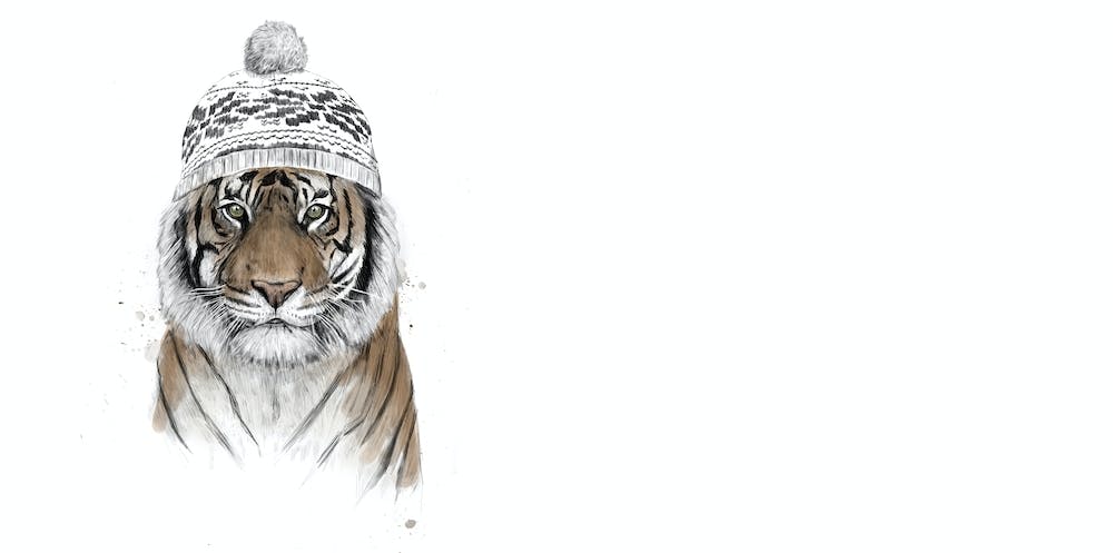 Siberian Tiger