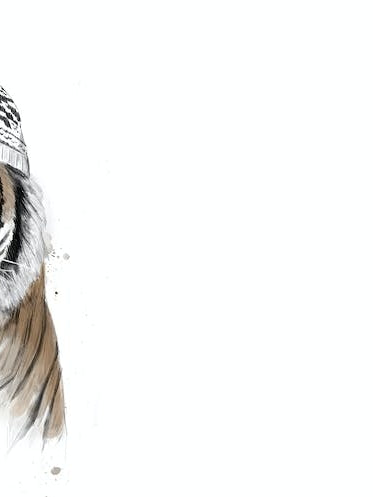 Siberian Tiger