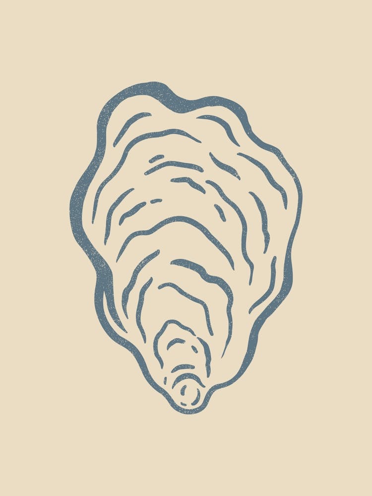 Oyster Shell