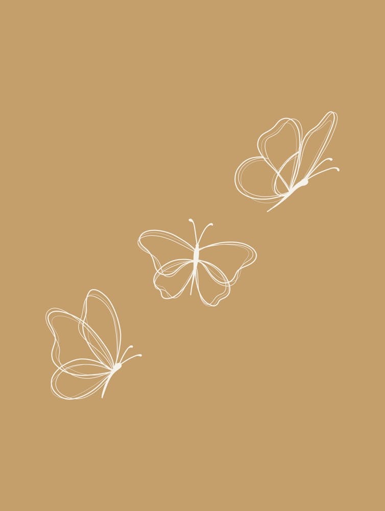Line Art Butterflies