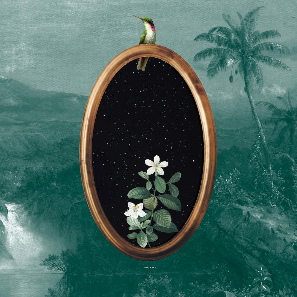 The Hummingbird Portal Square