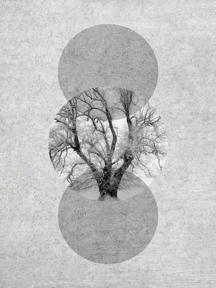 Abstract Tree