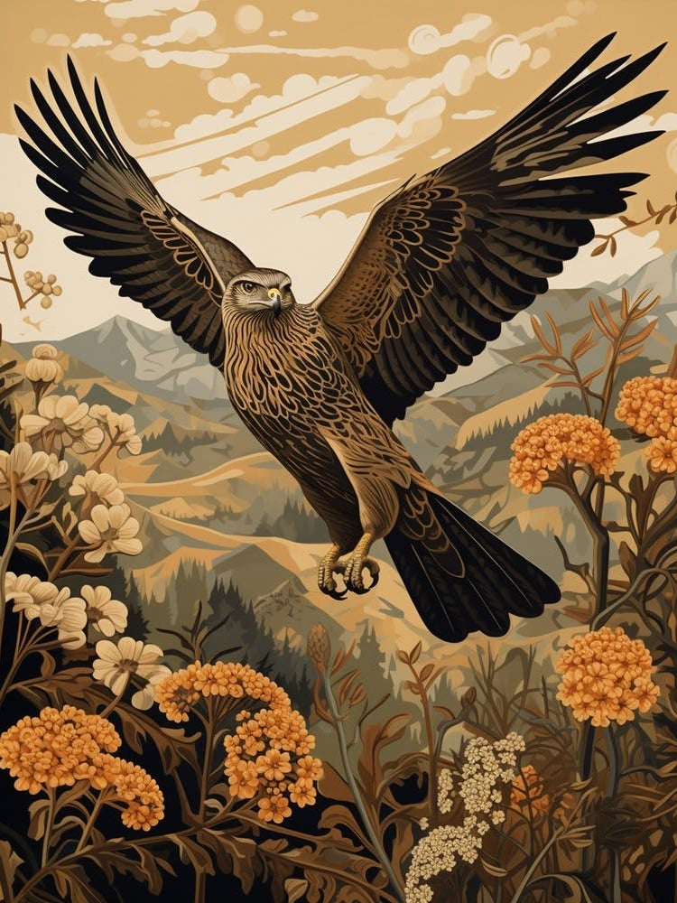 Dark And Moody Botanical Harrier 1