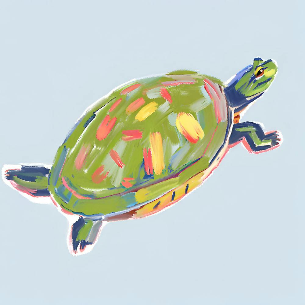 Painted Turtle 07