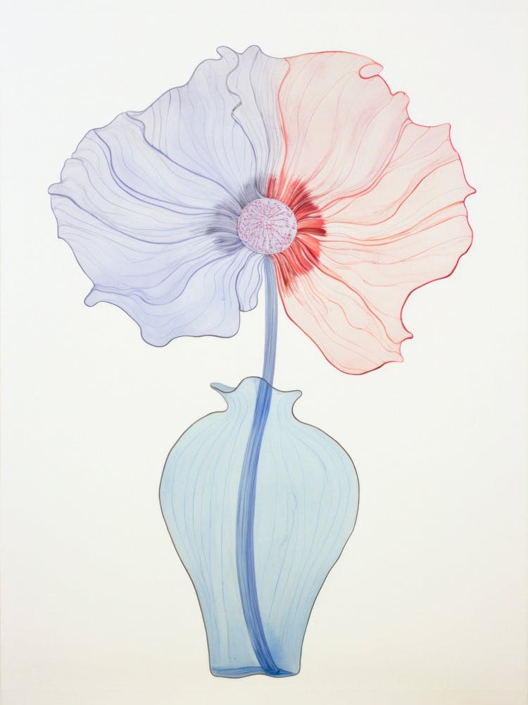 Delicate Poppy In Vase