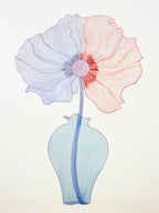 Delicate Poppy In Vase