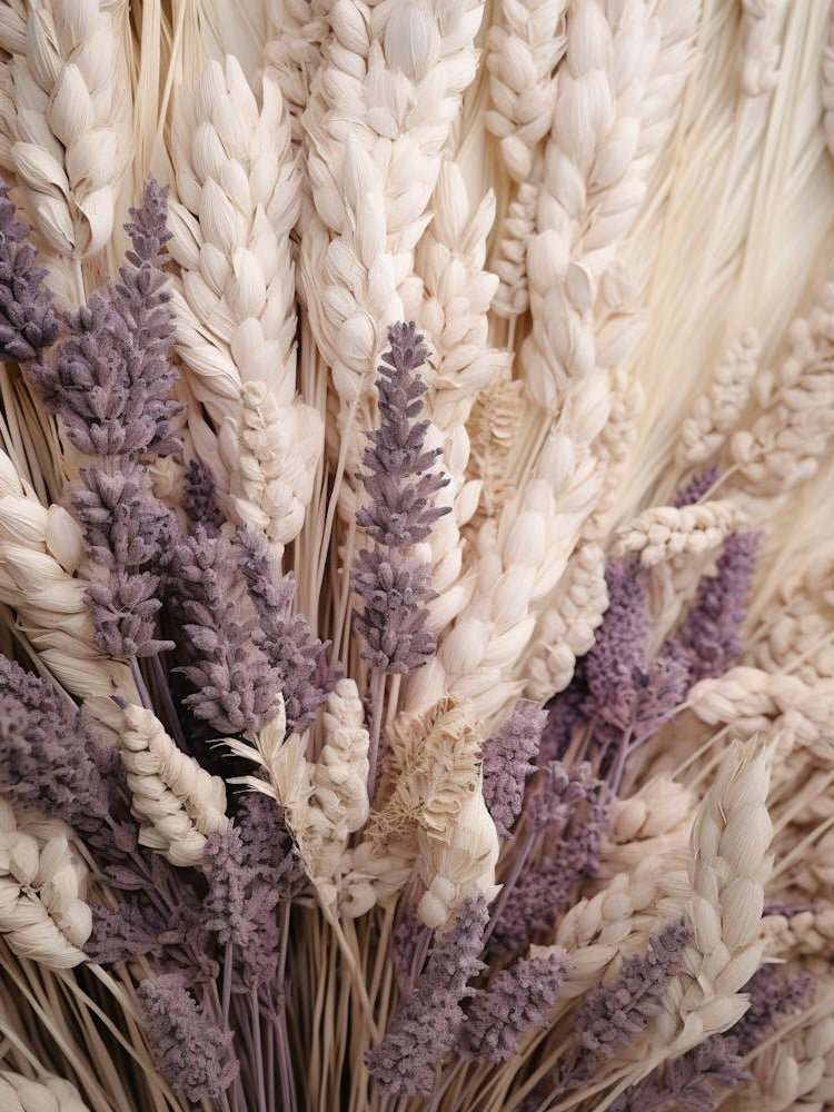 Boho Dried Flowers Lavender 6