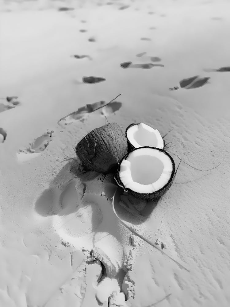 Kokosnüsse am Strand