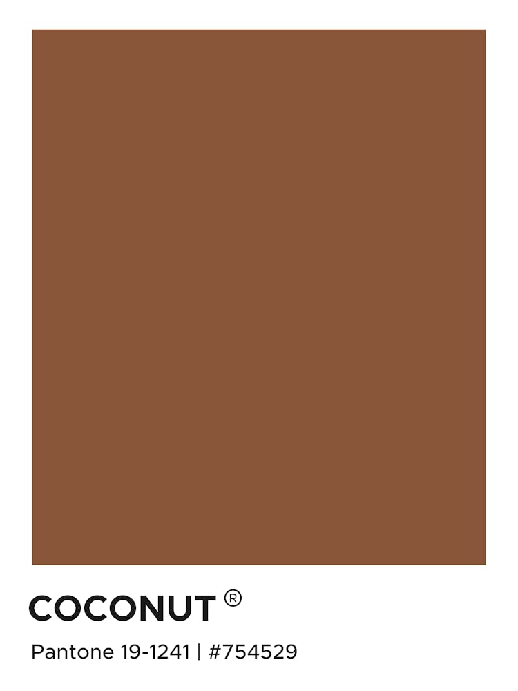 Coconut Pantone, cool, cute, calm, brown, pantone, swatch, colorful, aesthetic, minimal, modern, summers, kitchen, food, vibes, coconut, decor, minimalism