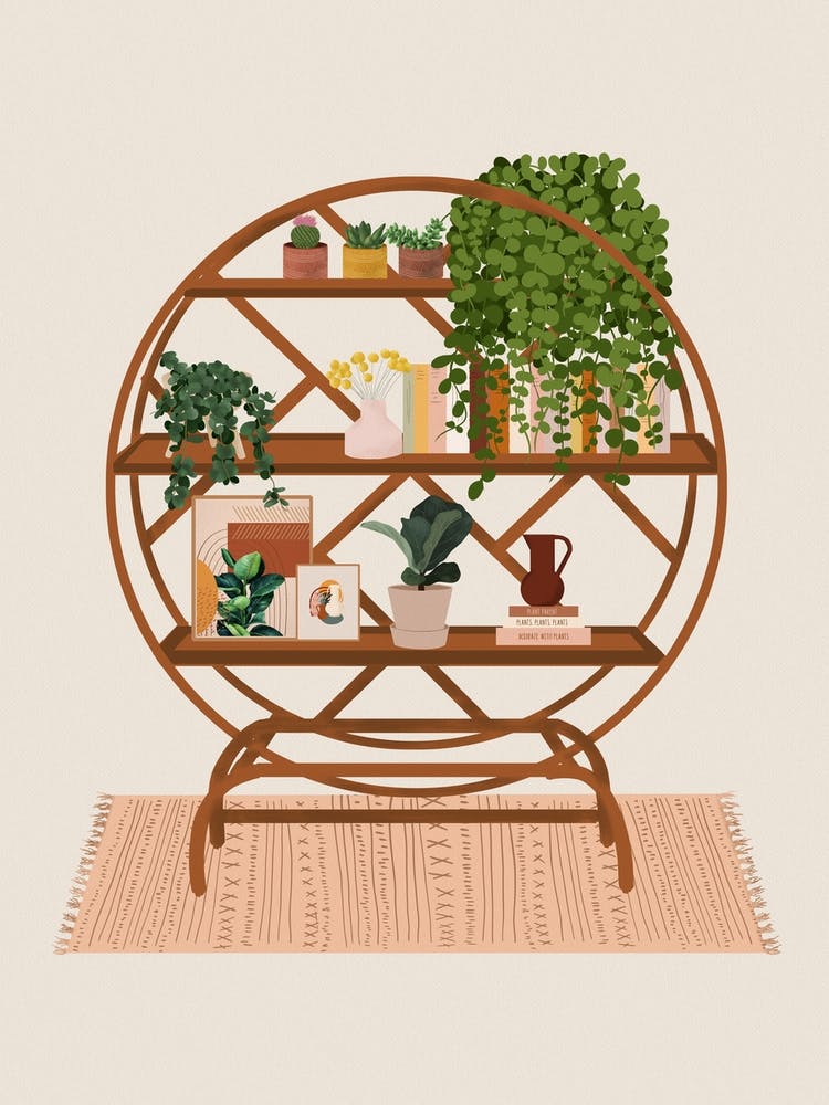Plant Shelf 3