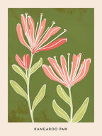 Pink & Green Kangaroo Paw 2 Flower Poster