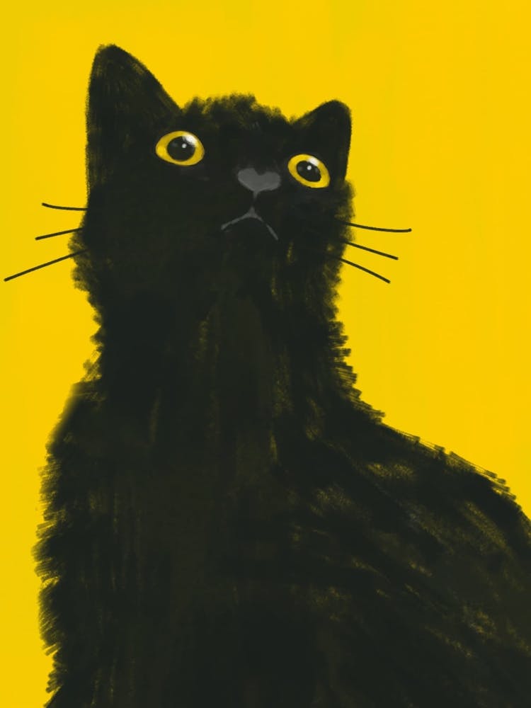 Black Cat On Yellow Background