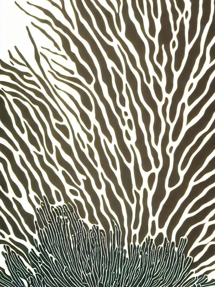 Acropora Verweyi Iii Linolschnitt
