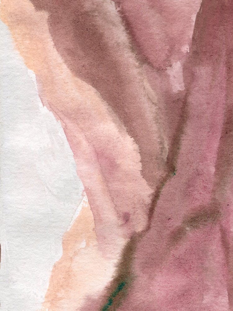 Rose And White Watercolor Painting