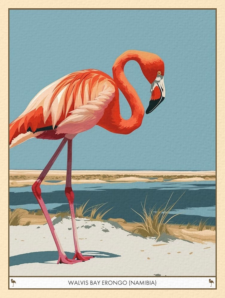Greater Flamingo Walvis Bay Erongo Namibia Tropical Illustration 2 Poster