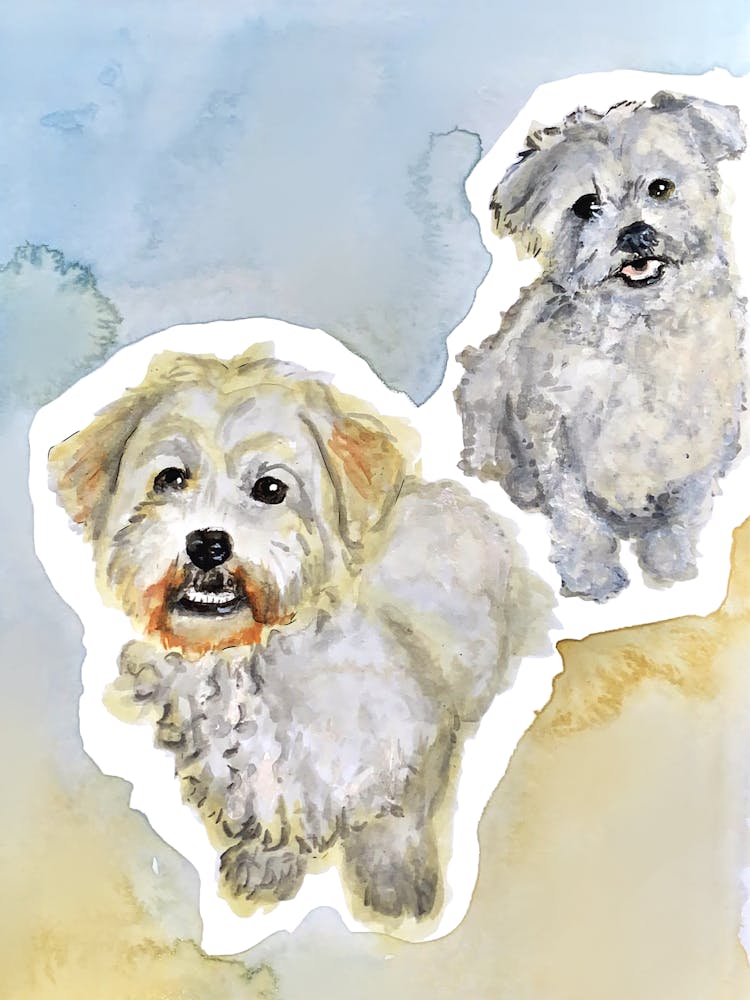 "Duke and Prince"