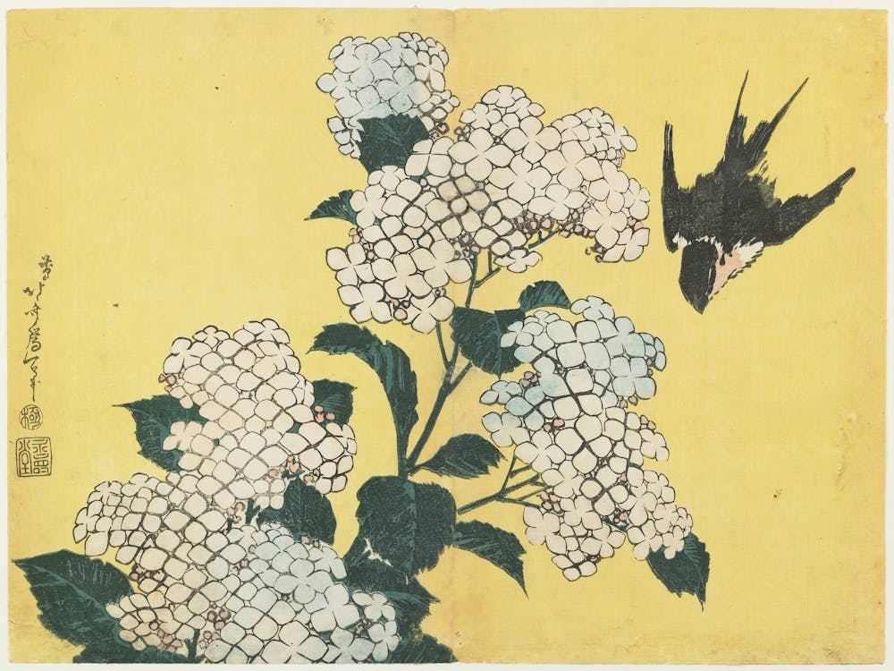Hortensien und Schwalbe, Katsushika Hokusai