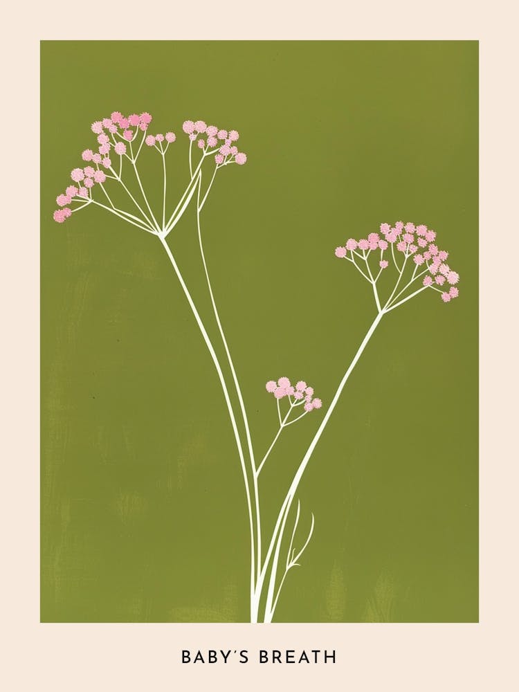 Pink & Green Babys Breath 2 Flower Poster