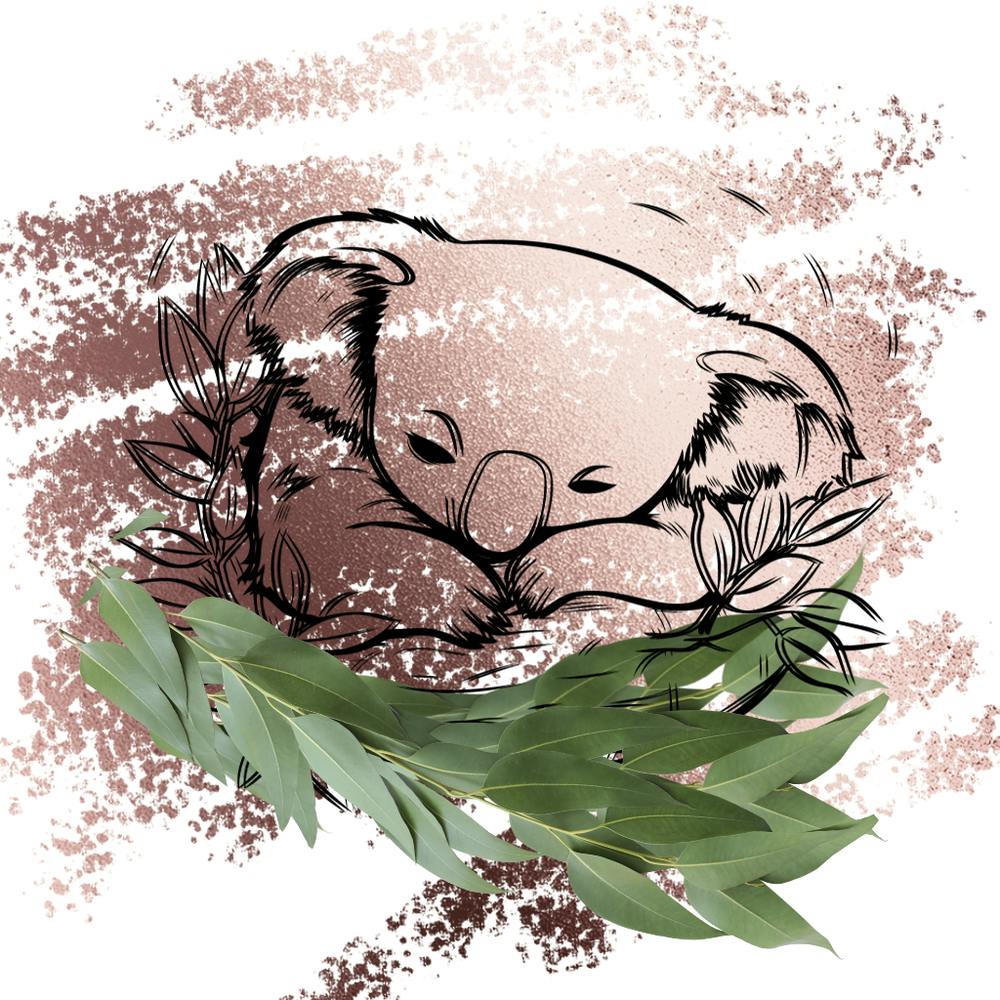 Koala sleeping In The Dark
