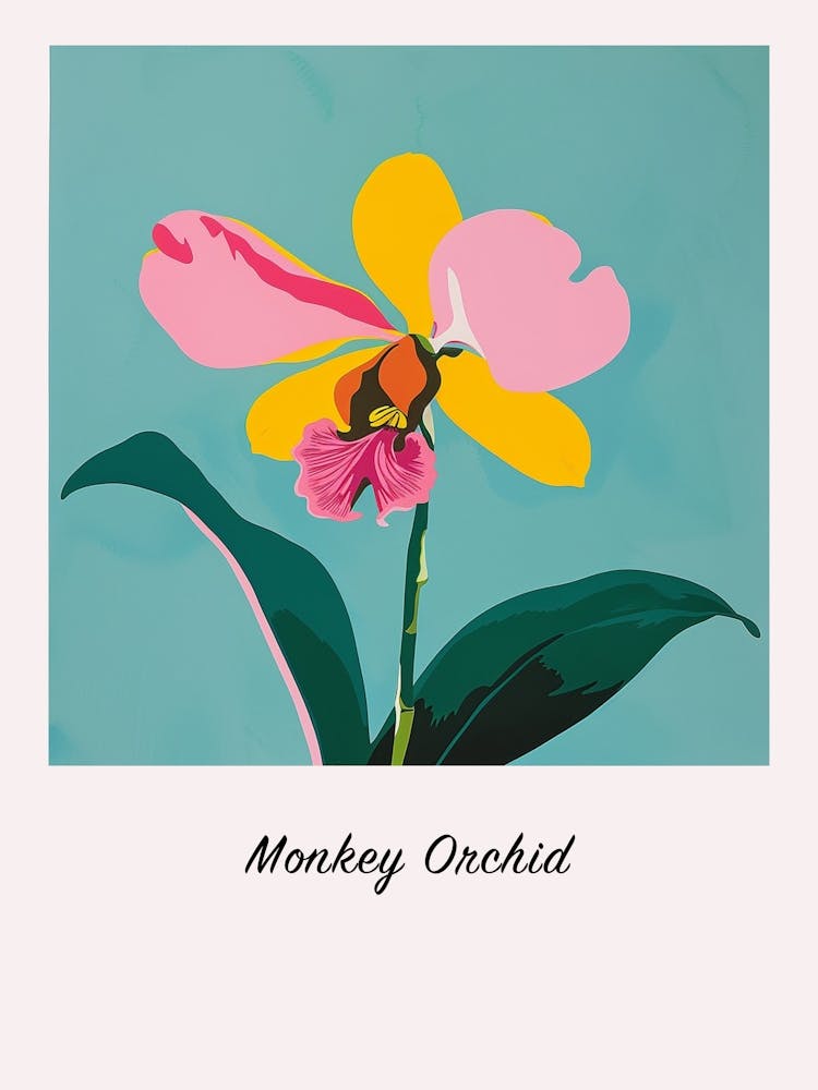 Monkey Orchid 2 Square Flower Illustration Poster