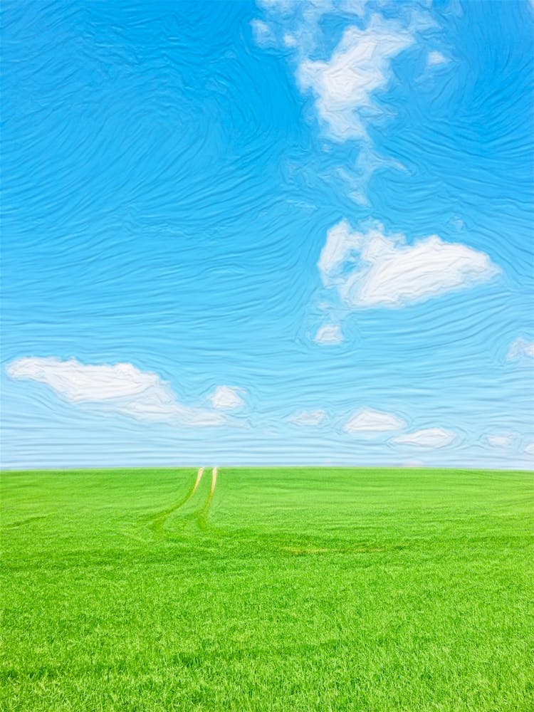 Field And Blue Sky Clouds