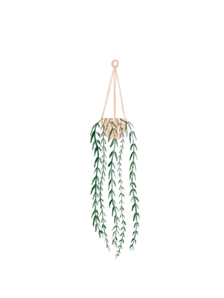 Plant Hanger