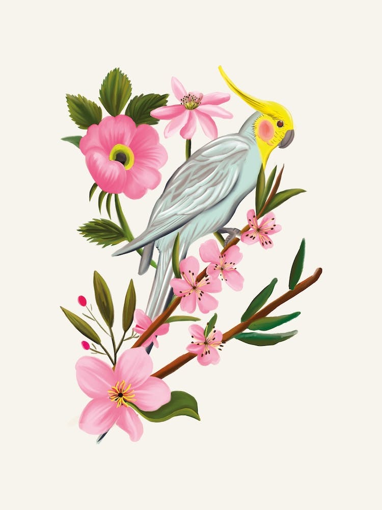 Parakeet Cream