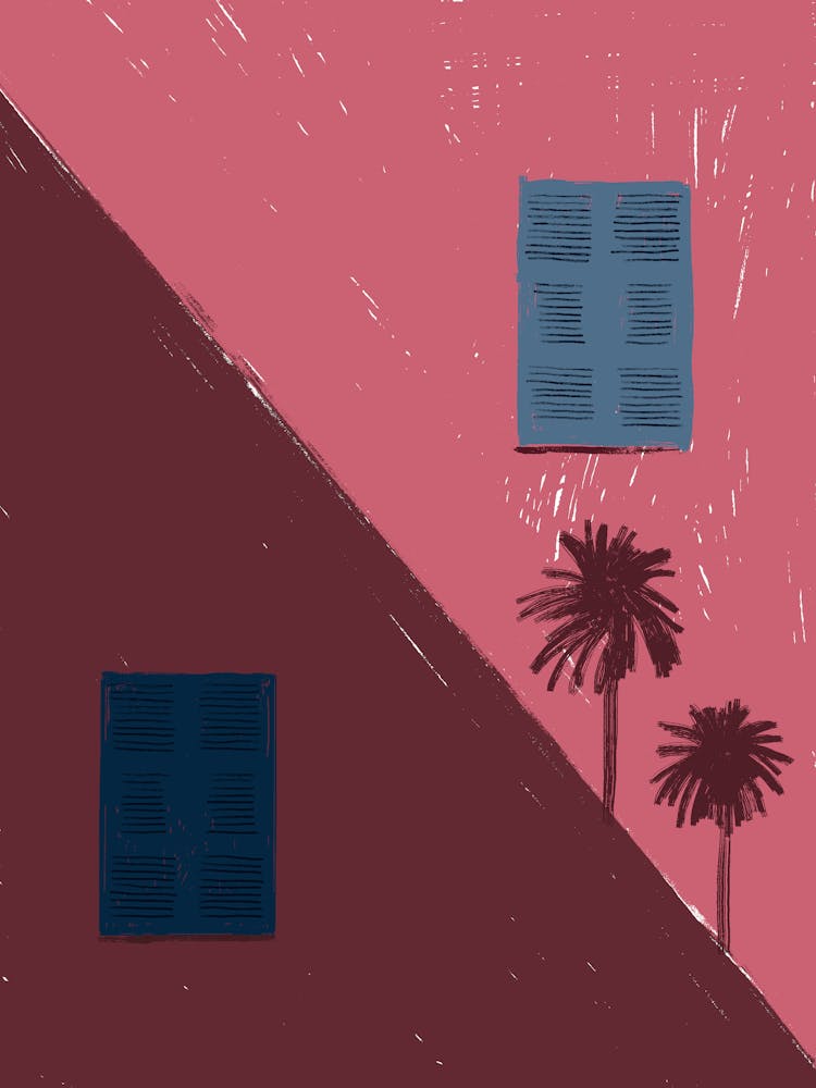 Palms And Palm Trees