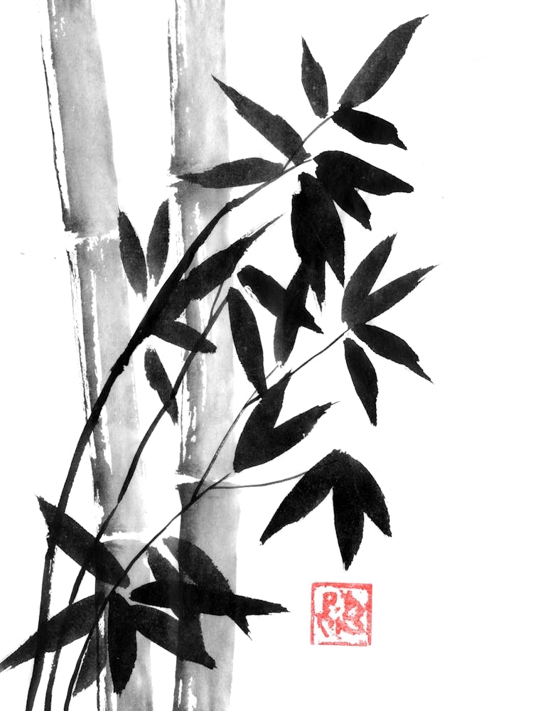 Bamboo 1