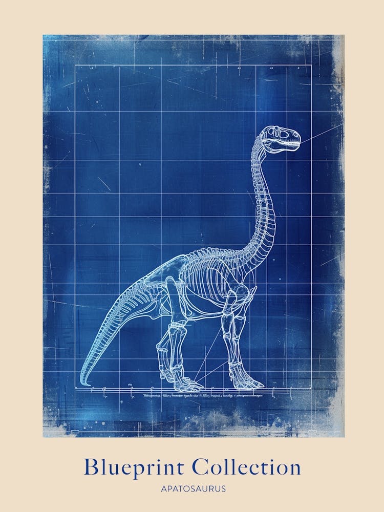 Apatosaurus Dinosaur Blue Print Sketch 4 Poster