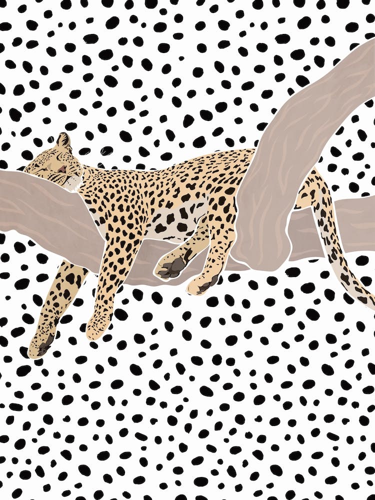 Leopard Sleeping On A Branch 1